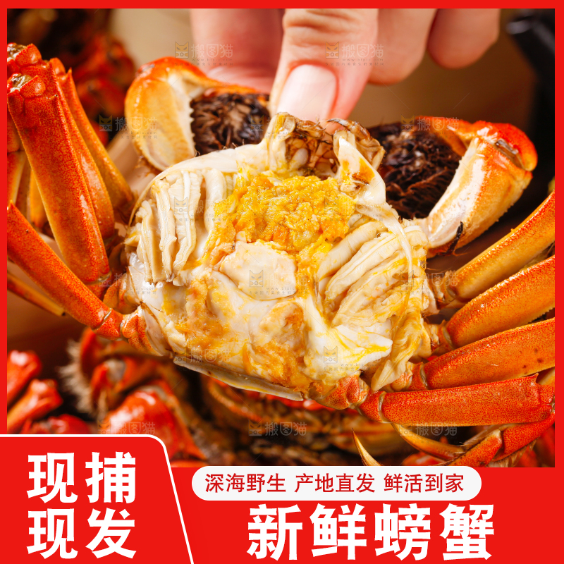 竹底上放着大闸蟹