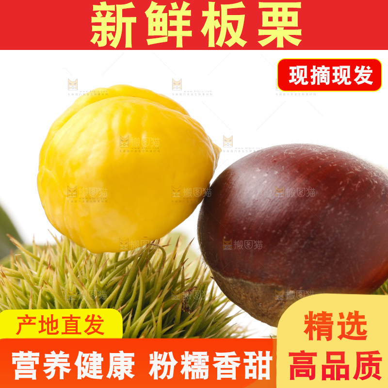 白底上摆放着迁西板栗