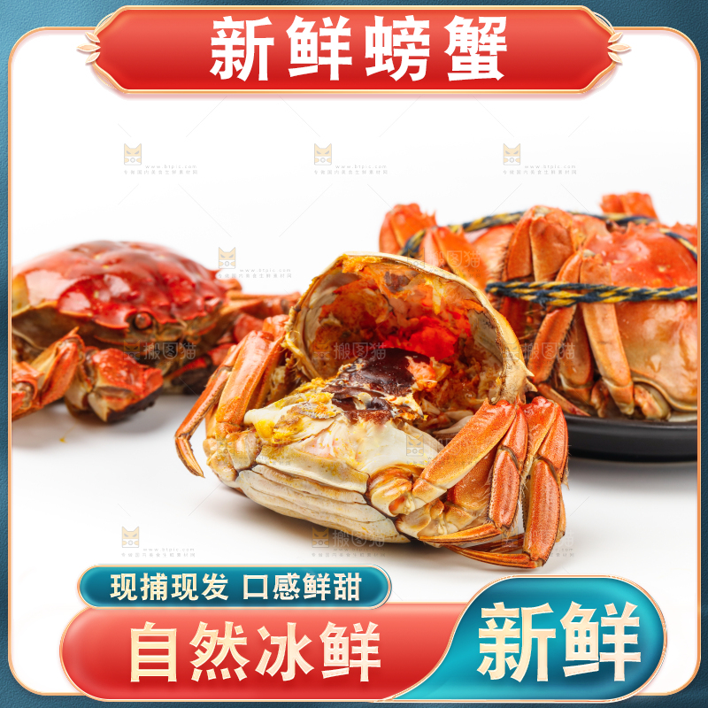 白底上的大闸蟹