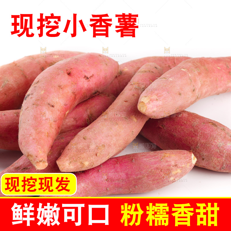 白底上的小蜜薯