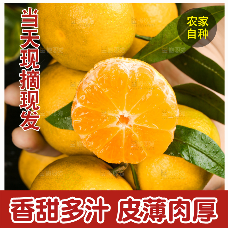 黑底上一堆新鲜皇帝柑