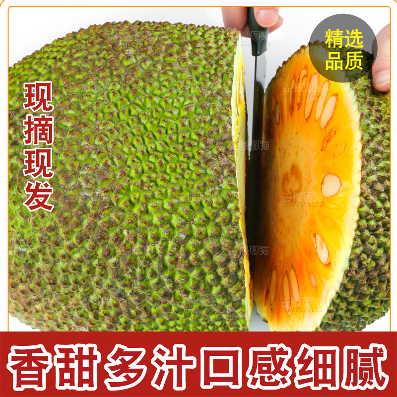 手里拿着红肉菠萝蜜