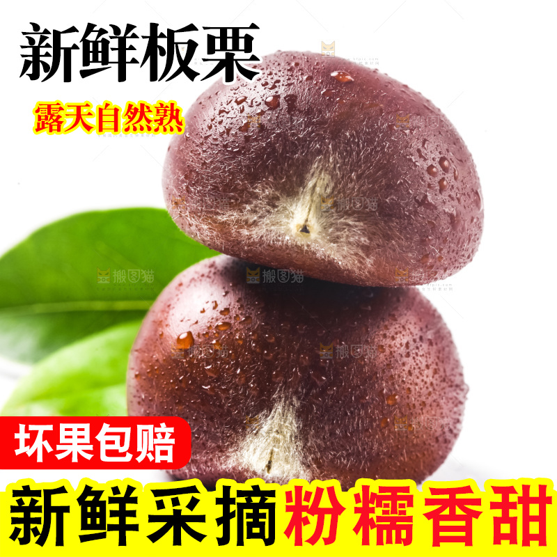 白底上放着迁西板栗