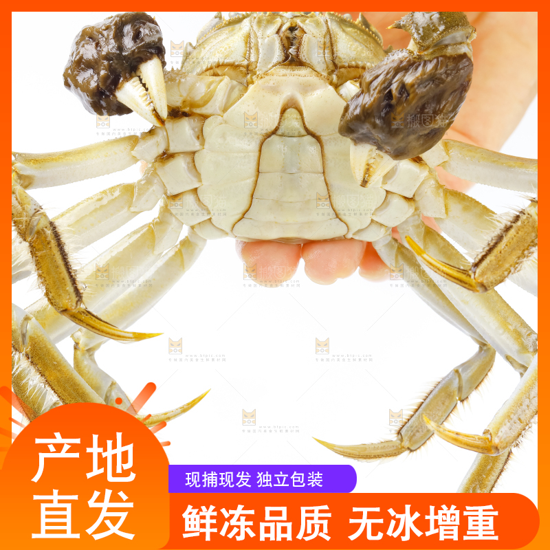 手里拿着鲜活螃蟹
