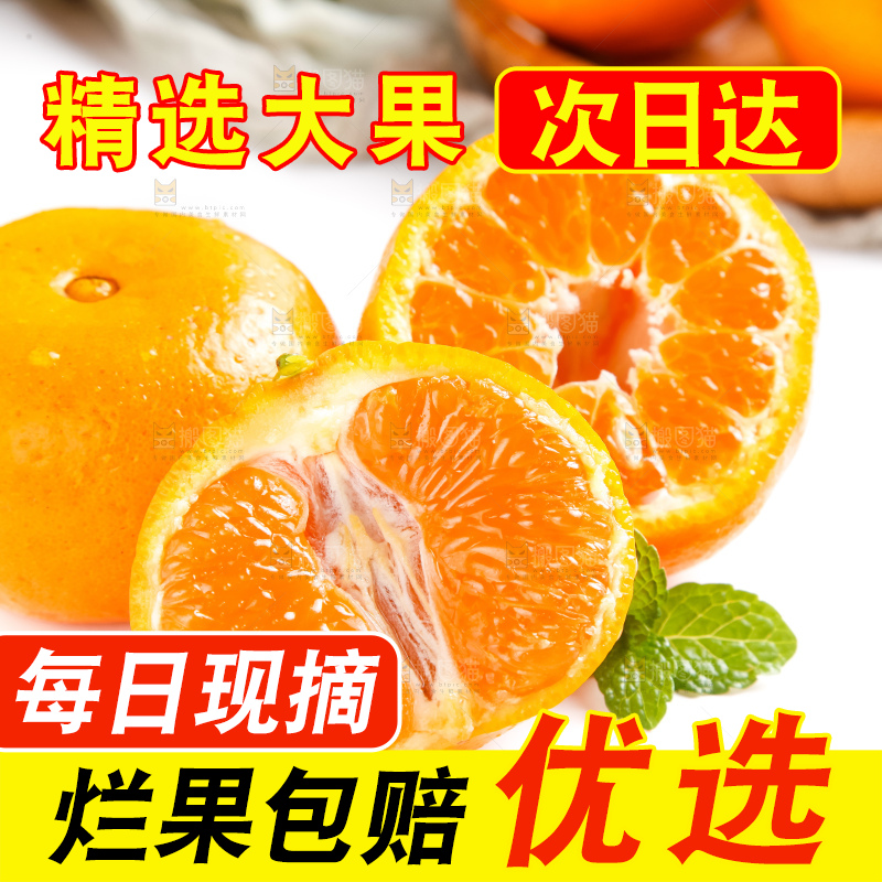 白底上的永春芦柑