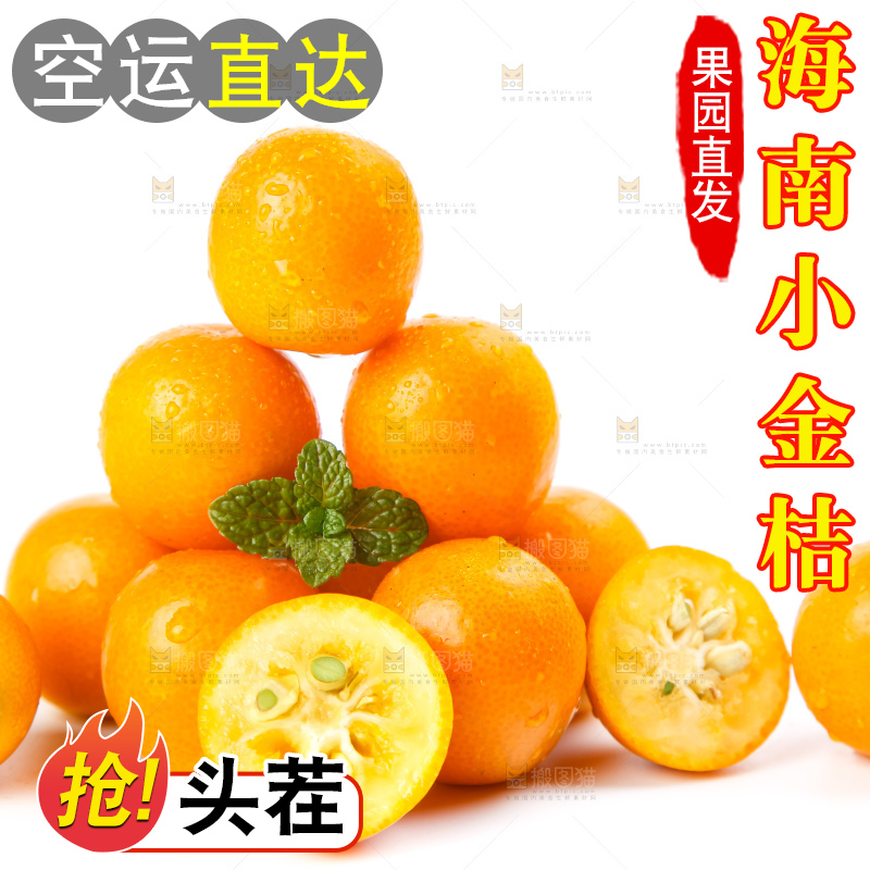 白底上摆放着阳朔金桔