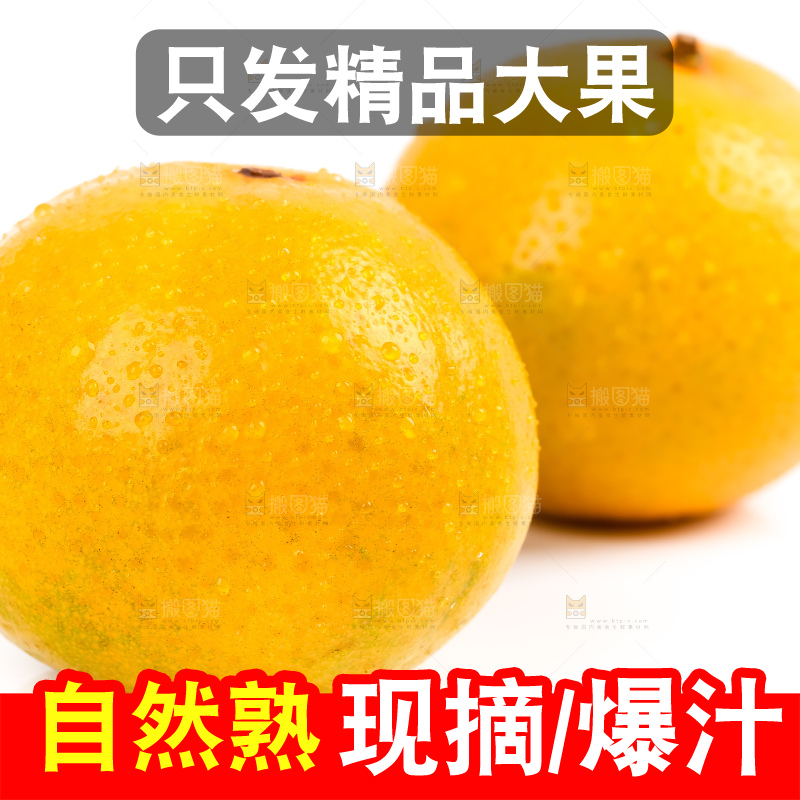 白底上的皇帝柑