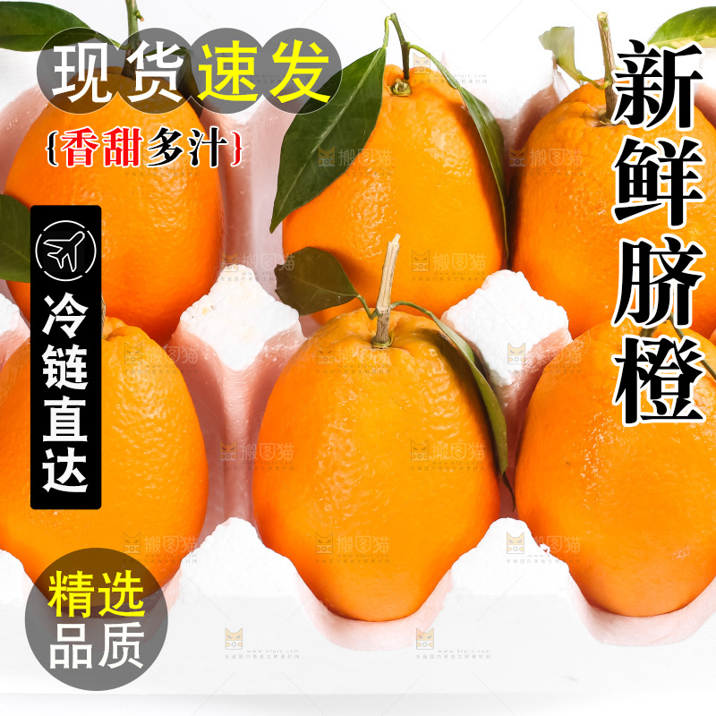 箱子里的秭归脐橙