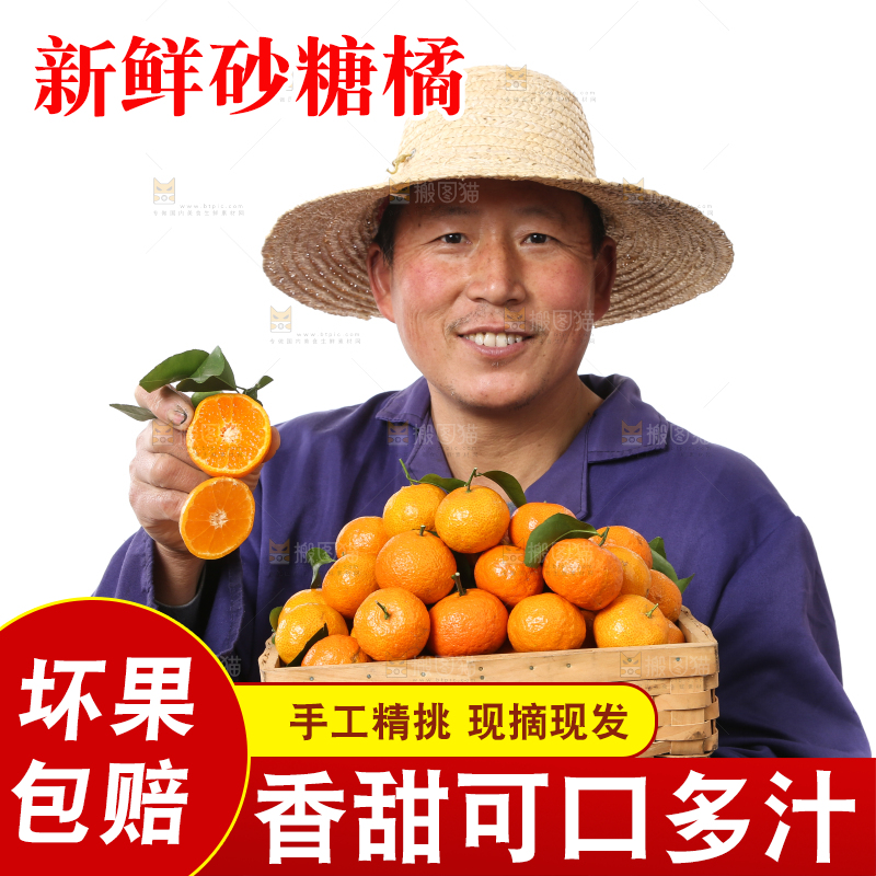 农民手里捧着广西砂糖橘