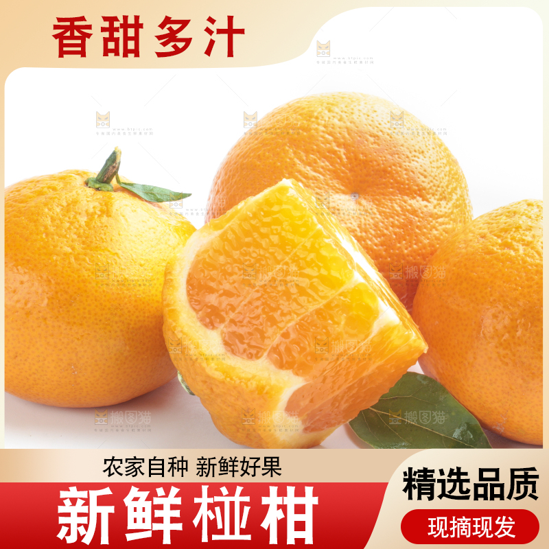 白底上放着四川椪柑
