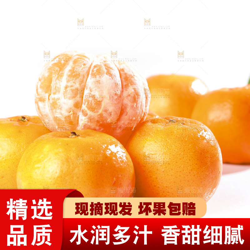 白底上的芦柑
