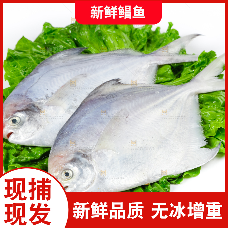 白底上放着银鲳鱼