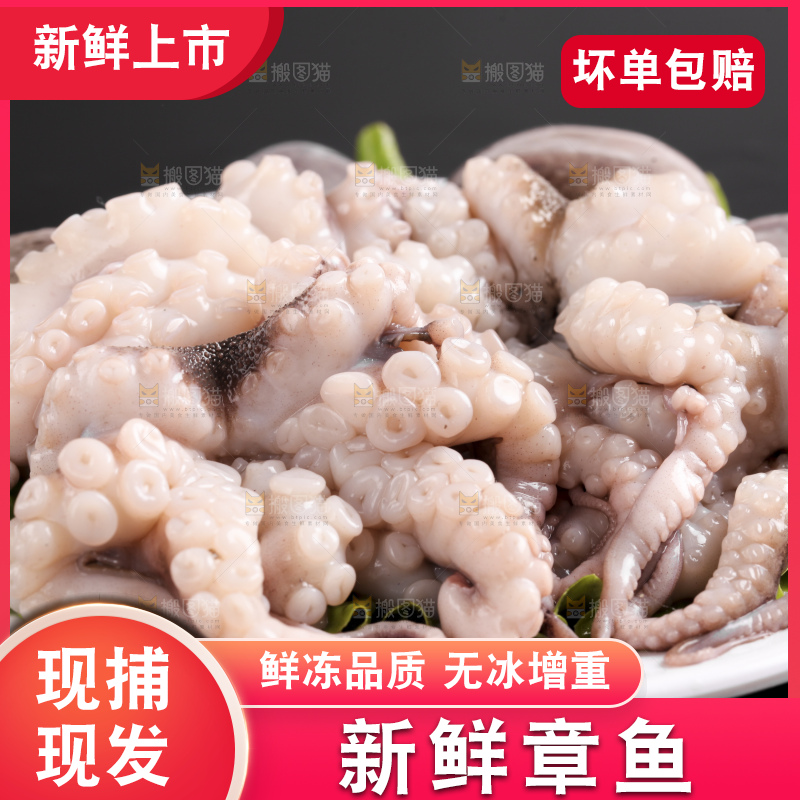 黑底上放着大连章鱼