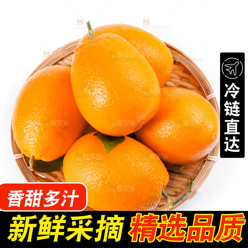 篮子里装着秭归脐橙