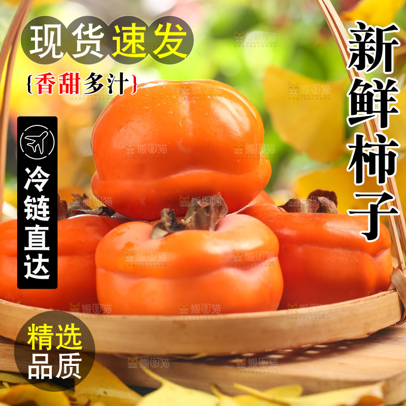 篮子里装着河北磨盘柿子