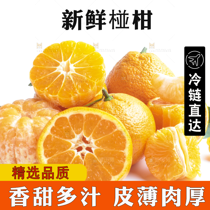白底上摆放着四川椪柑