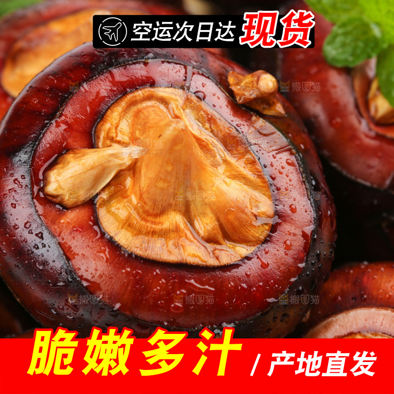 篮子里的荔浦马蹄
