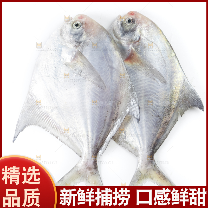 白底上放着银鲳鱼