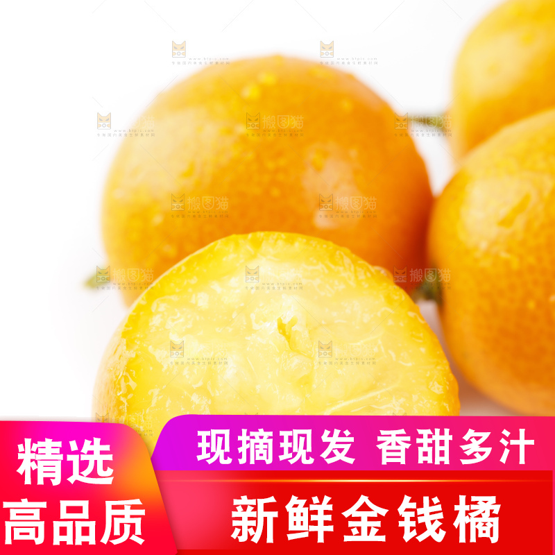 白底上的金桔