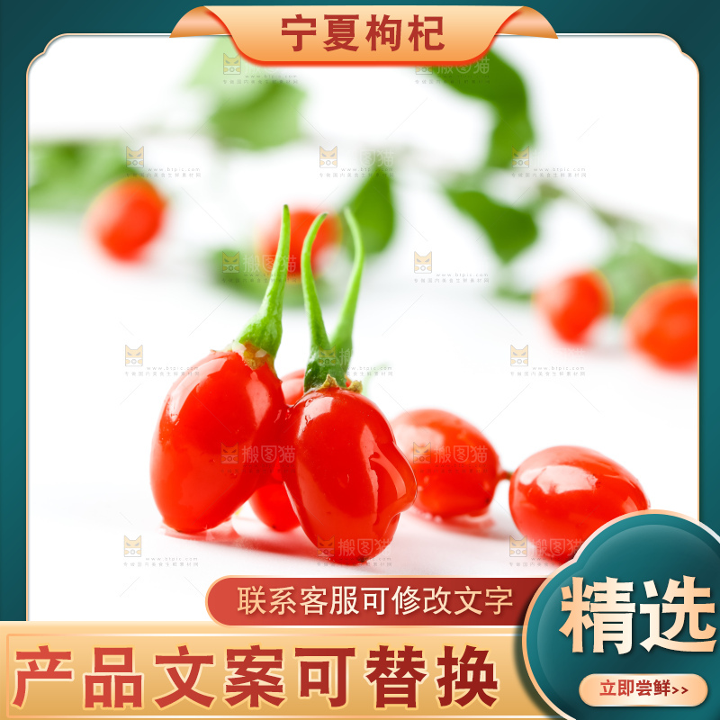白底上放着枸杞