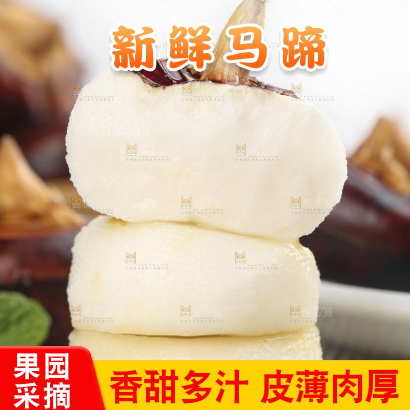 浅底上的马蹄果