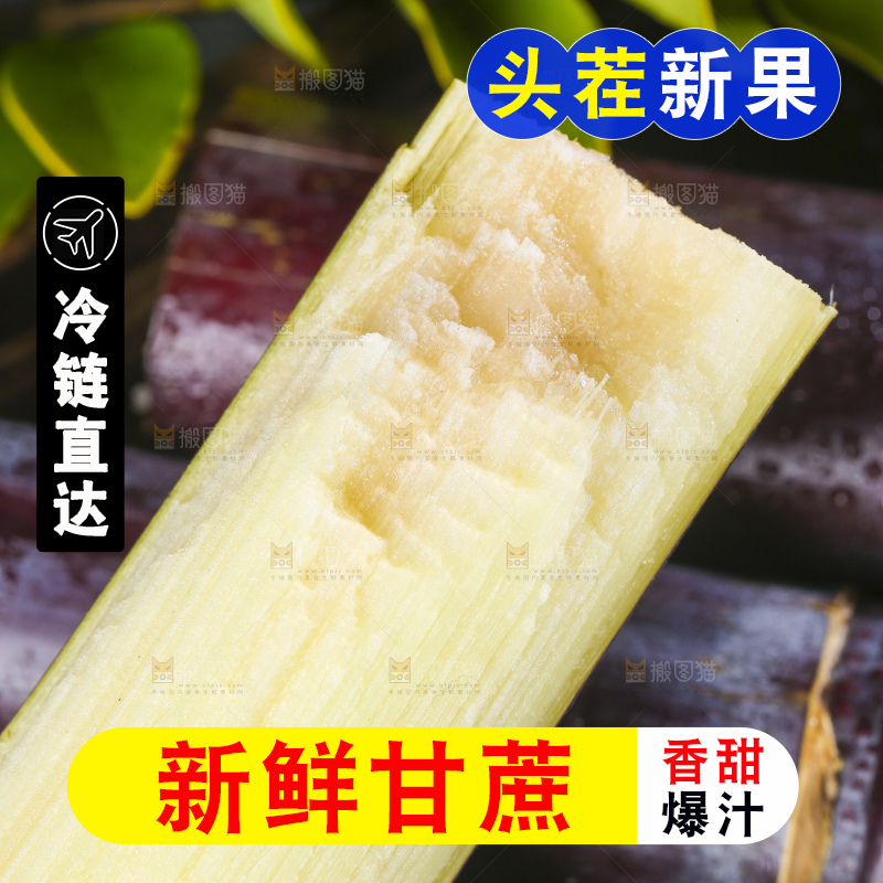 深底上的广西黑皮甘蔗