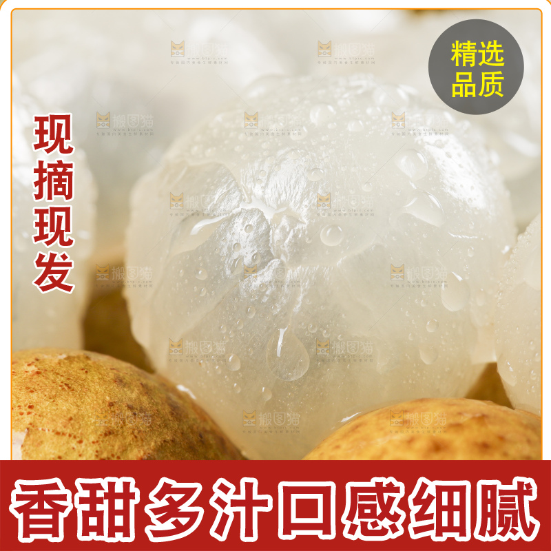 石板上的南平龙眼