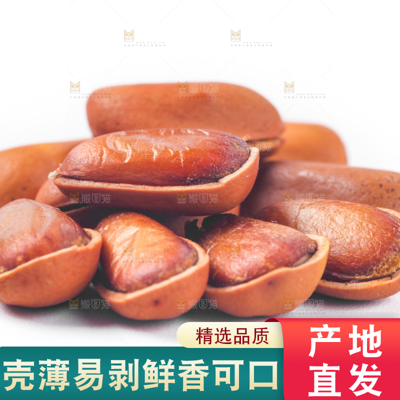 浅底上的手剥松子