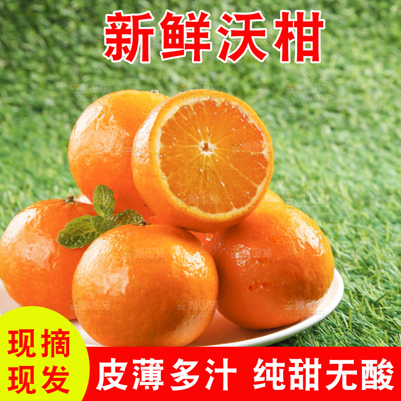 草地上放着贵妃柑