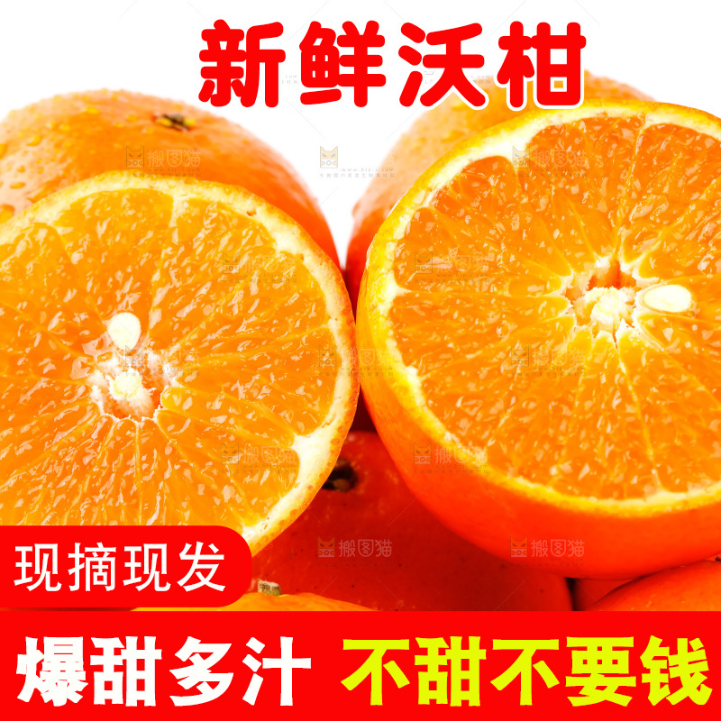 篮子里的贵妃柑