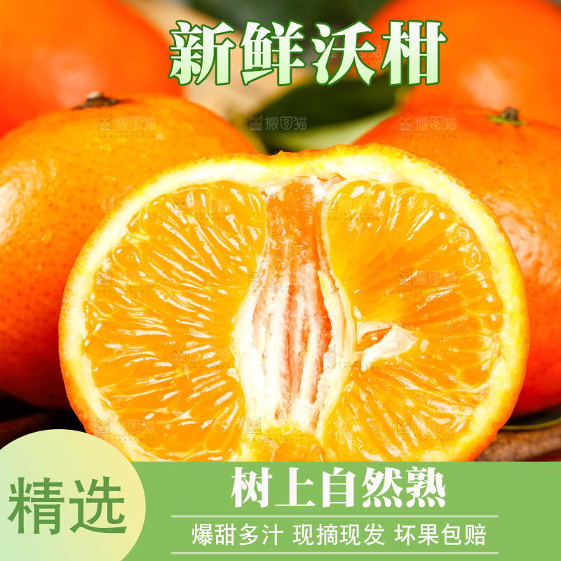 竹底上的四川沃柑