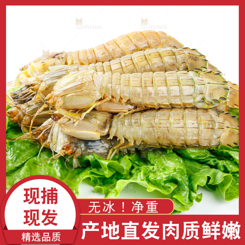 白底上的濑尿虾