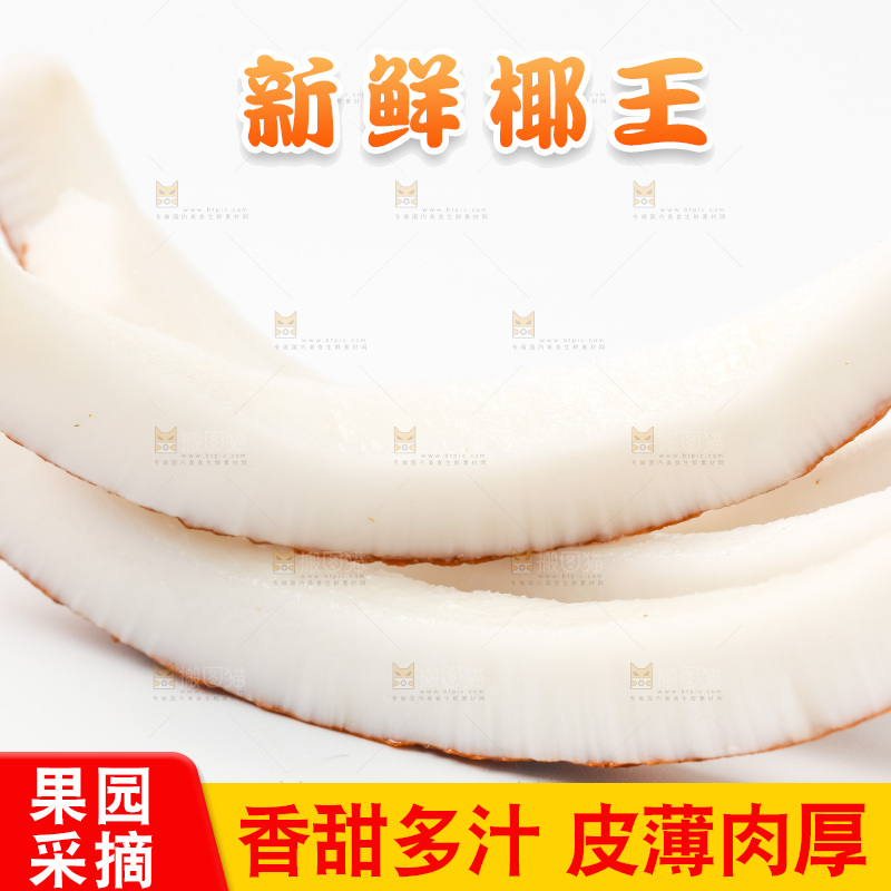 浅底上的椰皇