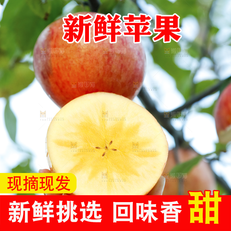 手里拿着新疆冰糖心苹果