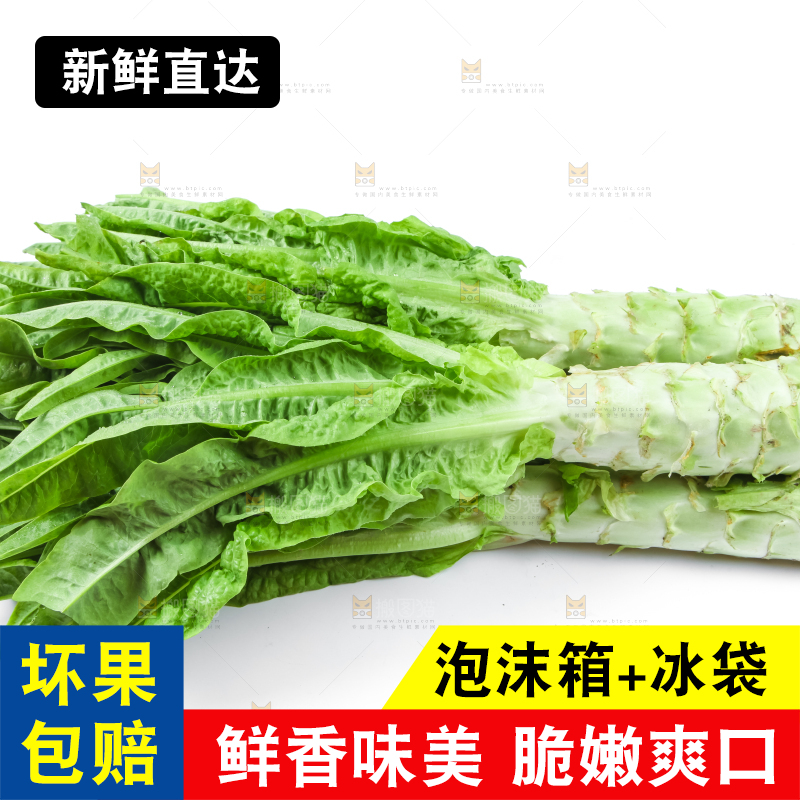 白底上的莴笋