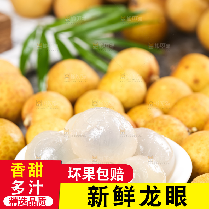深底上的石硖龙眼