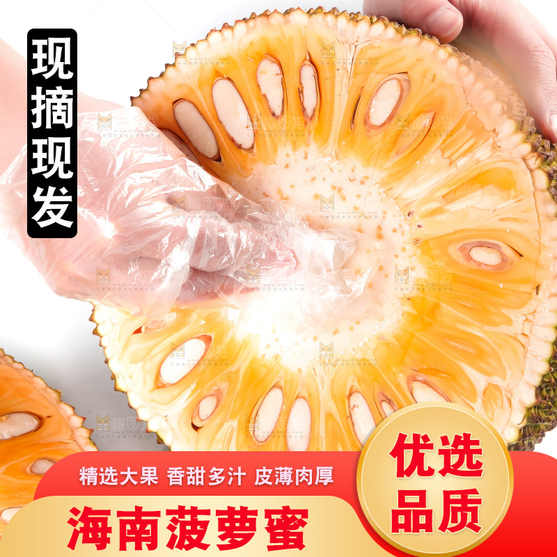 白底上的越南菠萝蜜