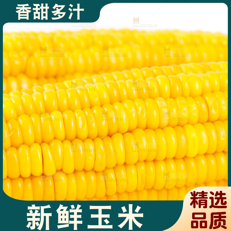 白底上放着黄玉米