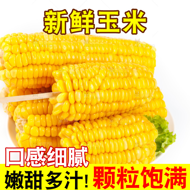 白底上放着黄玉米