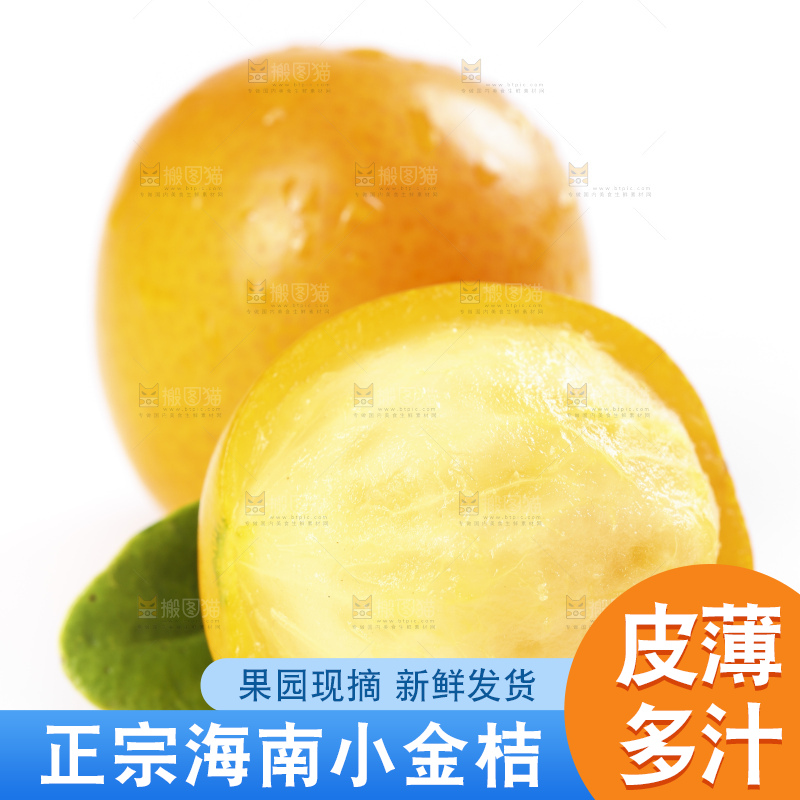 白底上摆放着新鲜金橘