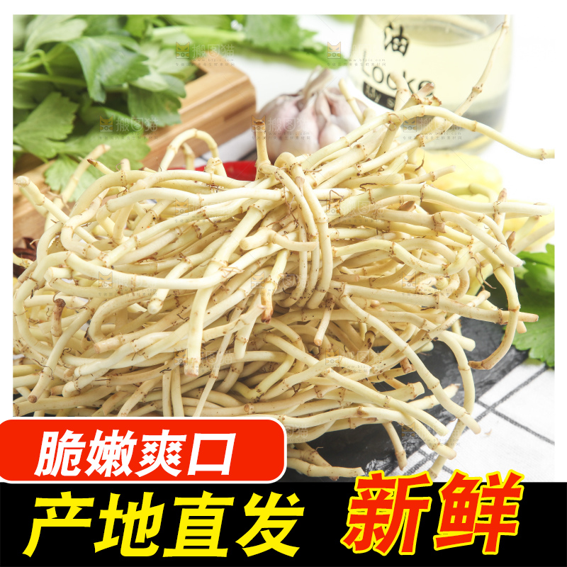 石板上放着折耳根