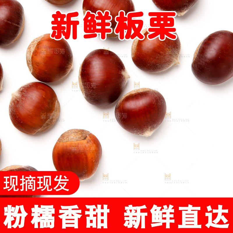白底上放着生板栗