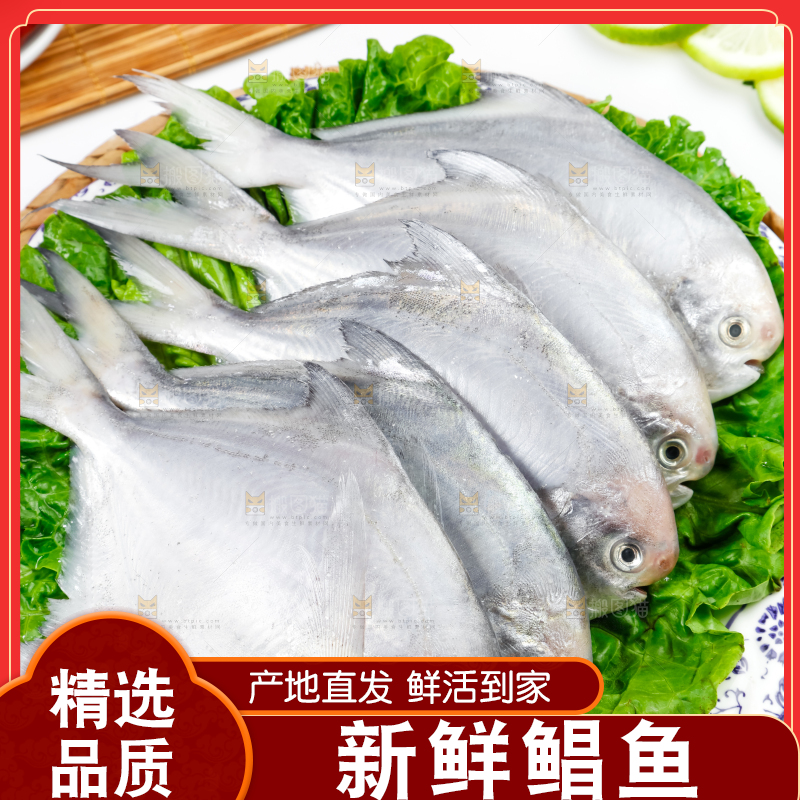 盘子里装着鲳鱼