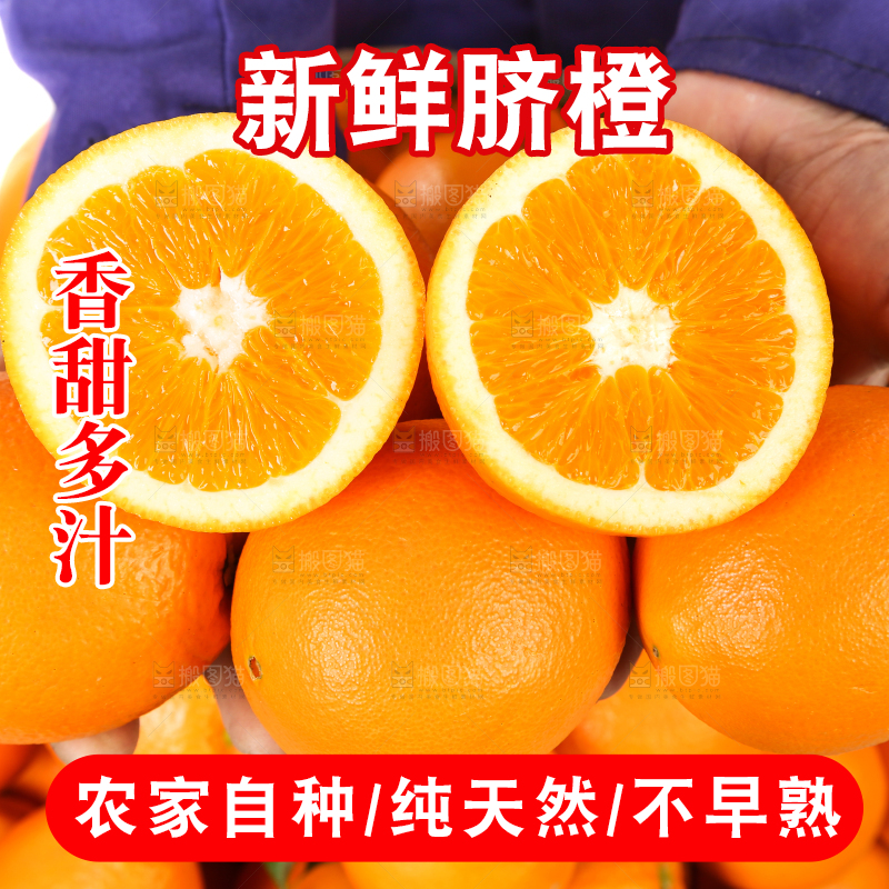 手里拿着长虹脐橙