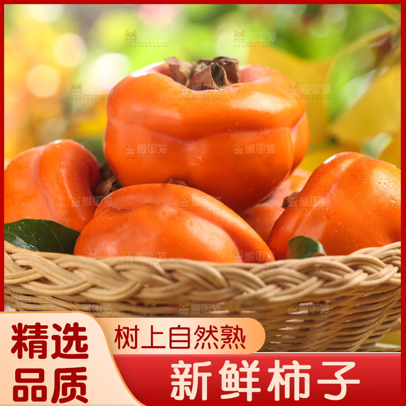 篮子里装着河北磨盘柿子