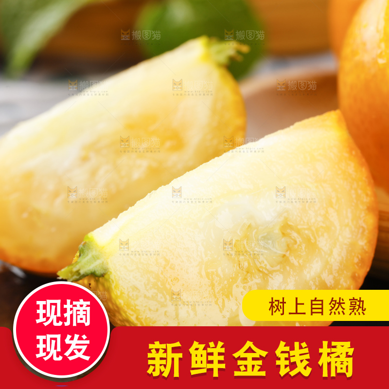 黑石板上的广西金钱橘