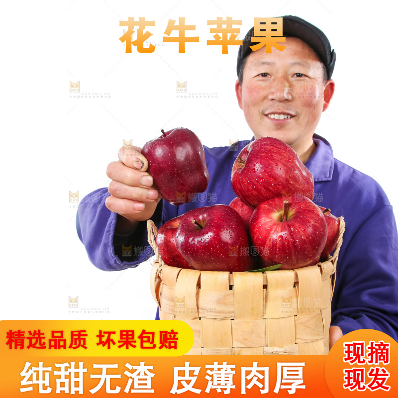 农民手里拿着天水花牛苹果