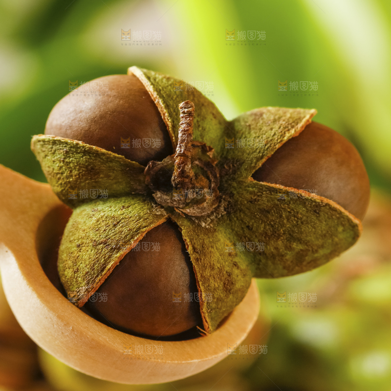 深底上的茶树果