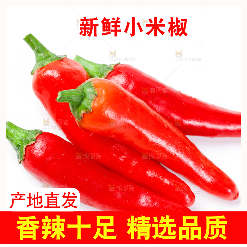 白底上摆放着广西小米椒