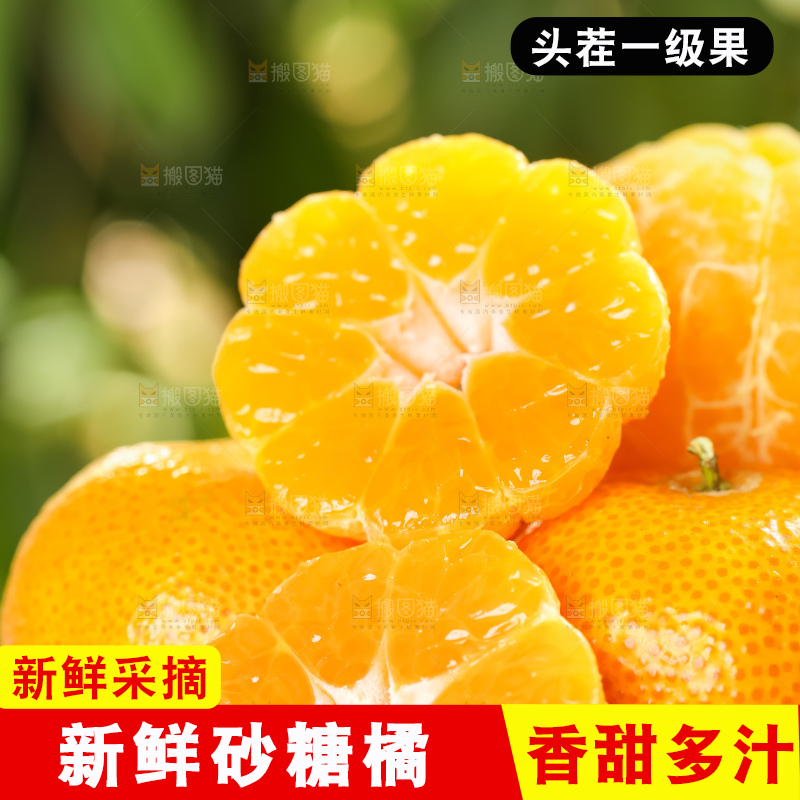 篮子里装着广西砂糖橘
